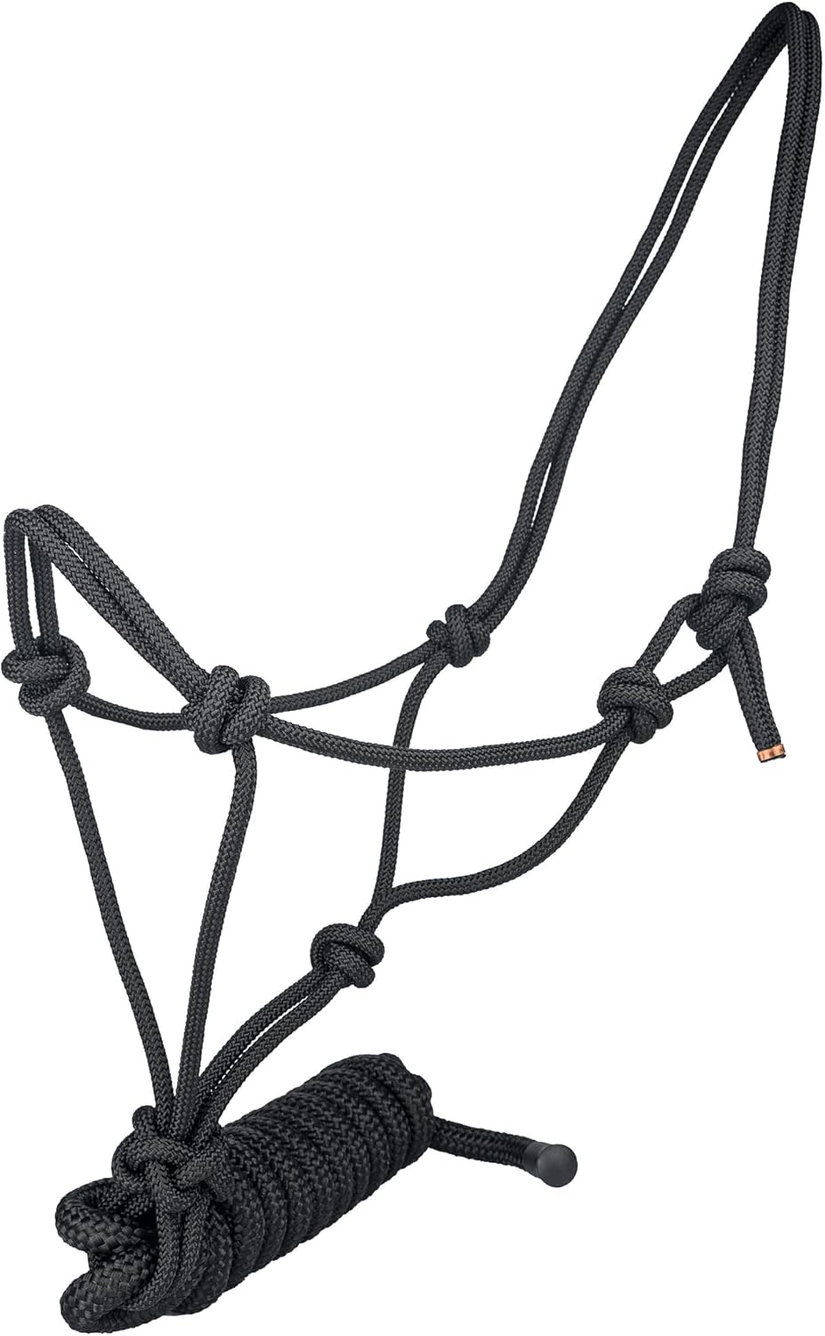 フランス アンティーク 馬の蹄の模型 馬の蹄鉄柄 アンティークタイル