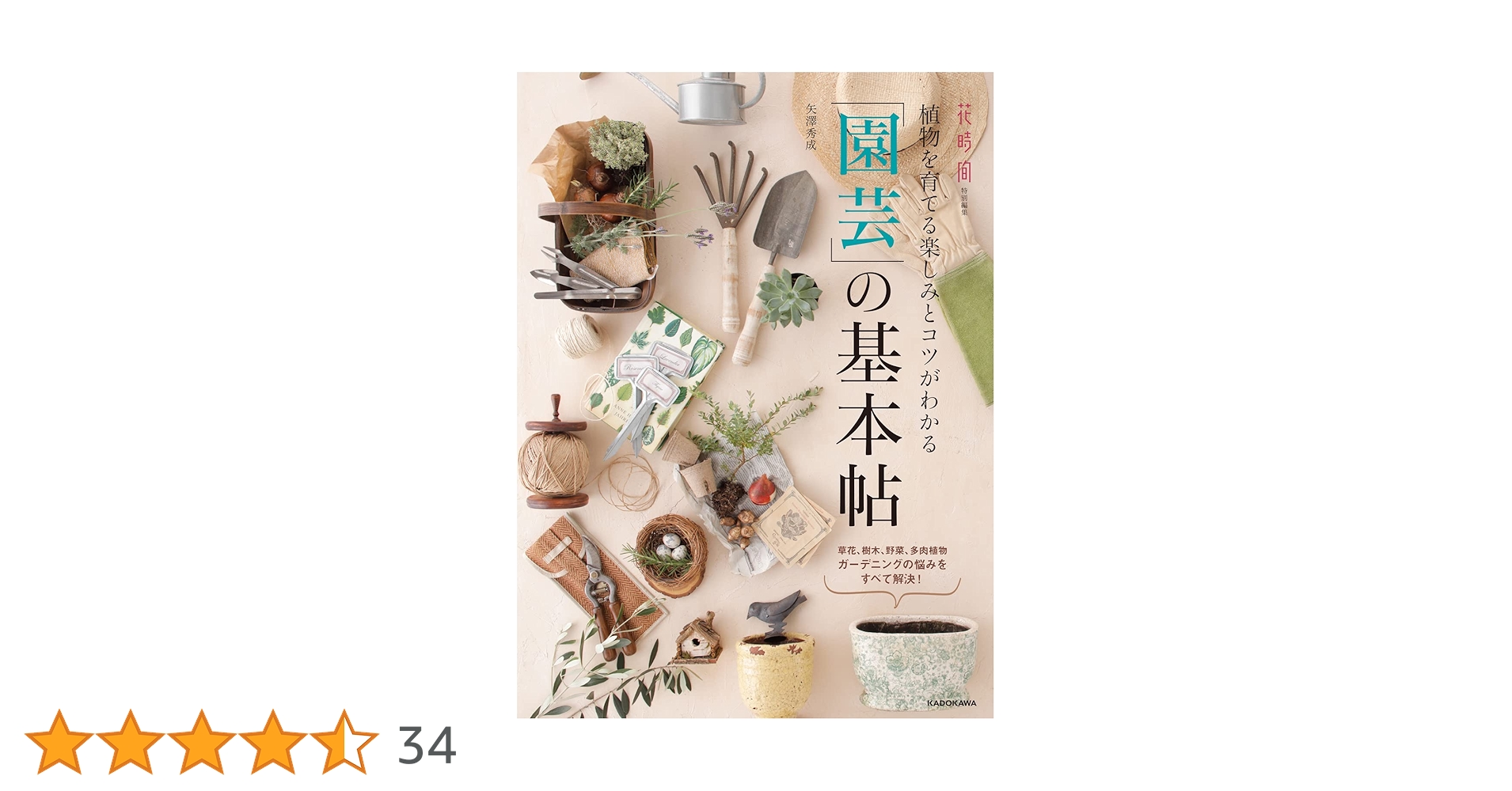 71wBcfMEqVL.jpg_BO30,255,255,