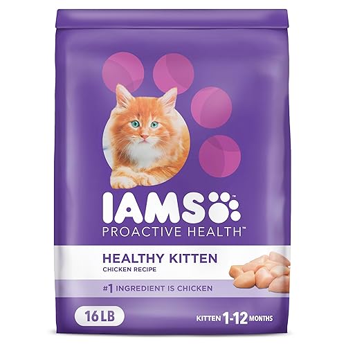 IAMS Proactive Health Healthy Kitten Dry Cat Food with Chicken,