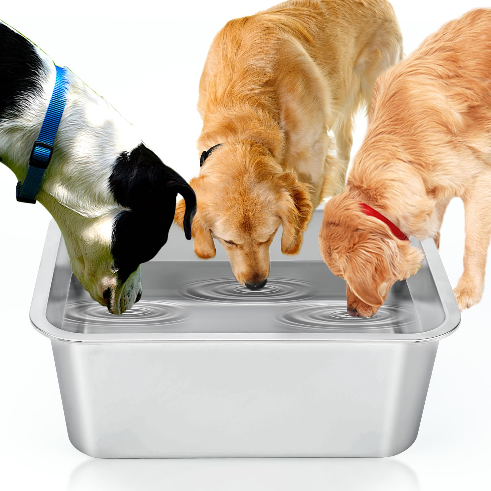 Pet Supplies : BWOGUE 4 Gallons Extra Large Dog Water Bowl for Large Dogs,  Outdoor Stainless Steel Dog Bowl, High Capacity Pet Water and Food Bowls  for Large, X-Large Giant Dogs, 1