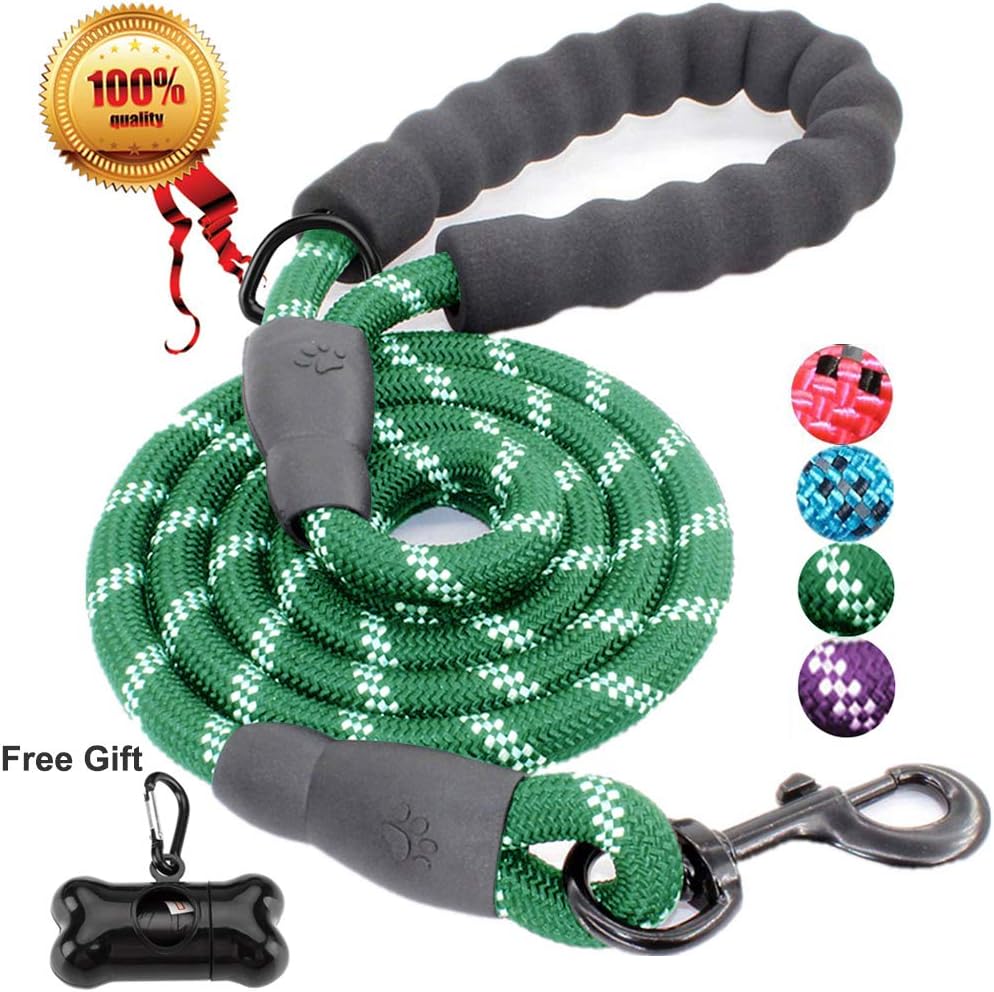 JBYAMUS 5 FT Reflective Dog Leash, Heavy Duty Dog Leash with Comfortable Padded Handle, Durable Nylon Encryption Braid Anti-Chewing for…
