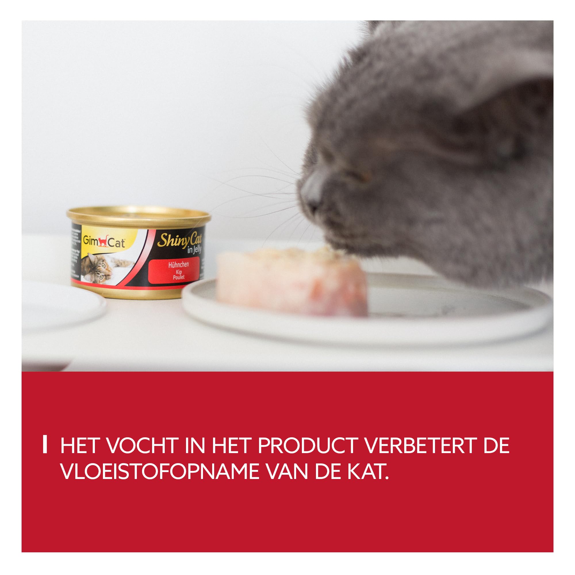 GimCat ShinyCat in Jelly z kurczakiem - Mokra karma dla kotów z mięsem i tauryną - 48 puszek (48 × 70 g)