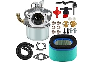 Briggs and Stratton Carburetor for 698479 Engine