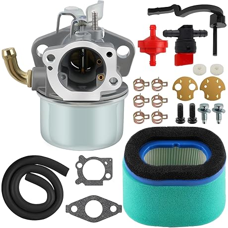 Briggs and Stratton Carburetor for 698479 Engine