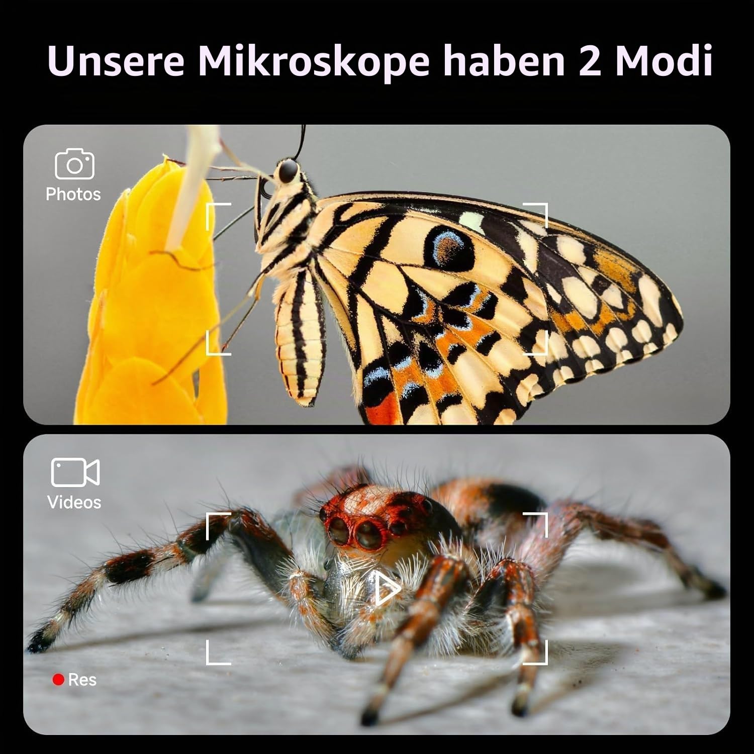 BEAVERLAB 4,0" IPS digitales Mikroskop 100X-1600X, Handheld Microscope 1080P HD Taschenmikroskop WiFi USB Mikroskop für Anfänger, Handy Mikroskop mit 8 einstellbaren LED-Lights, kompatibel mit PC/TV