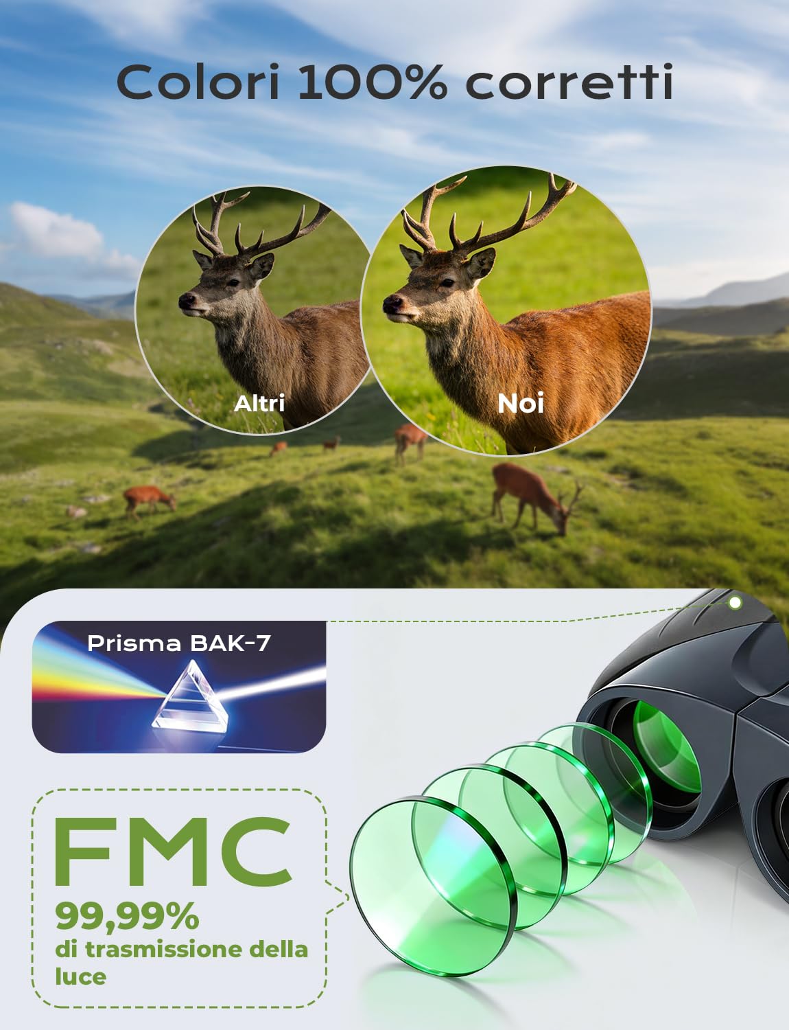 LIORQUE 10×25 Binocolo Professionale per Bambini e Adulti | Cannocchiale Portatile Pieghevole | Per Scarsa Illuminazione | Ideale per Birdwatching, Trekking, Viaggi e Caccia