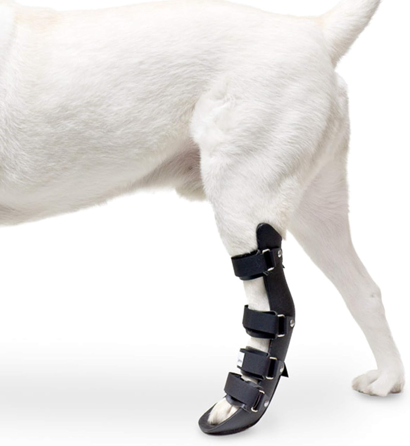 Walkin' Pet Splint for Dogs Dog Rear Foot Splint Helps