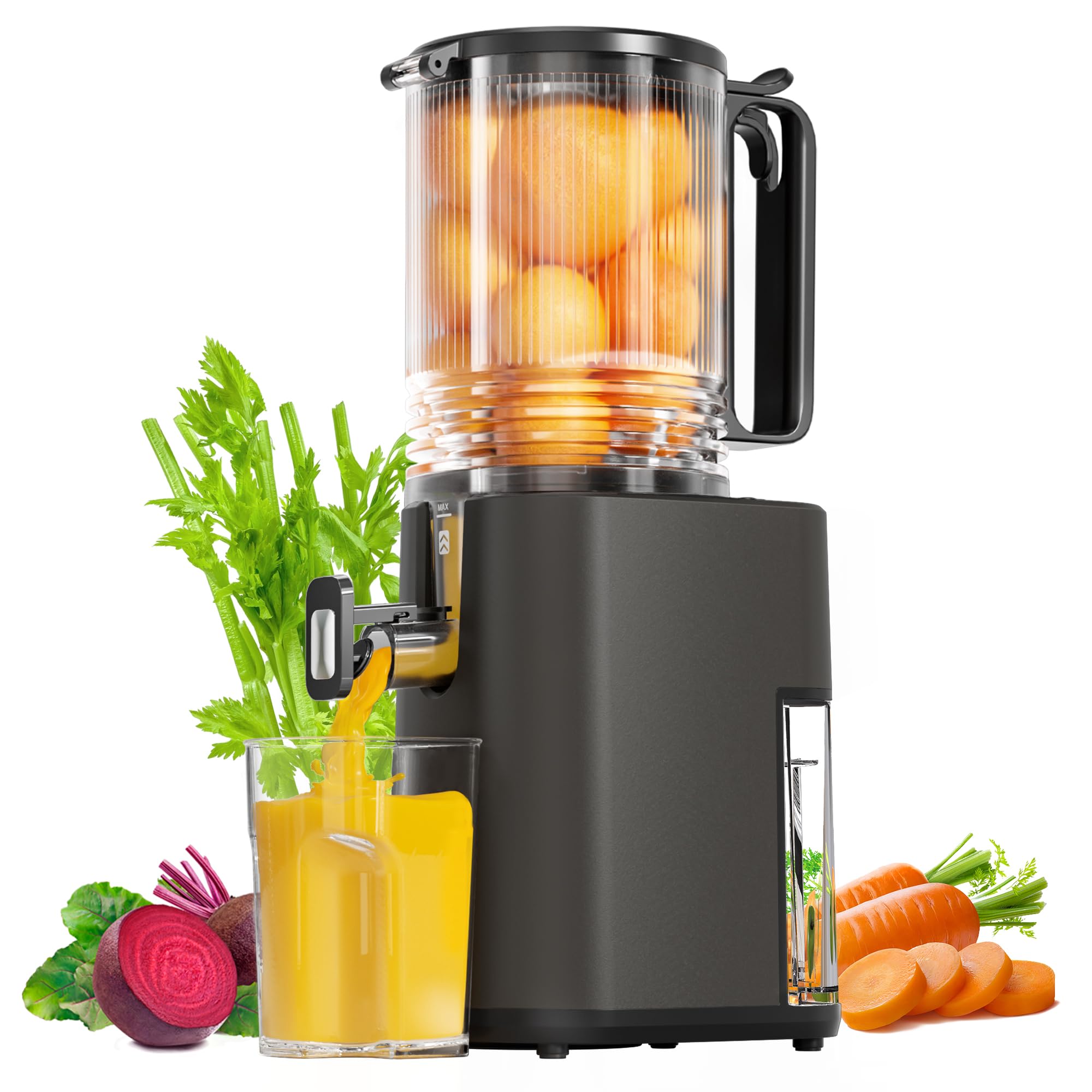 Cold Press Juicer, 5.5inch Wide Feed Chute Juicer Machine, Slow Masticating Juicer for Whole Vegetables & Fruits, Gray
