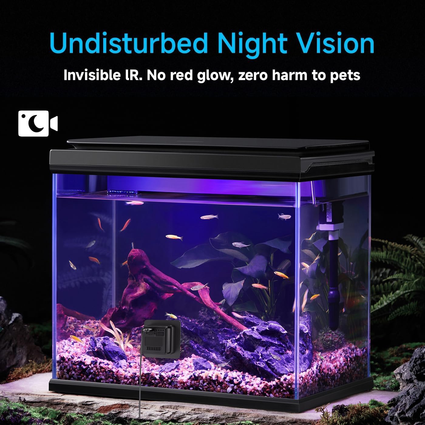 eLinkSmart 2K Aquarium Security Camera Anti-Glare & Anti-Reflection for Glass Tank/Window/Door, Fish & Reptiles, with Night Vision, Motion Detection, 2-Way Audio, 24/7 Local Storage 140° Wide-Angle