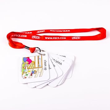 PECS Show and Go Visual Classroom Direction Cards Red