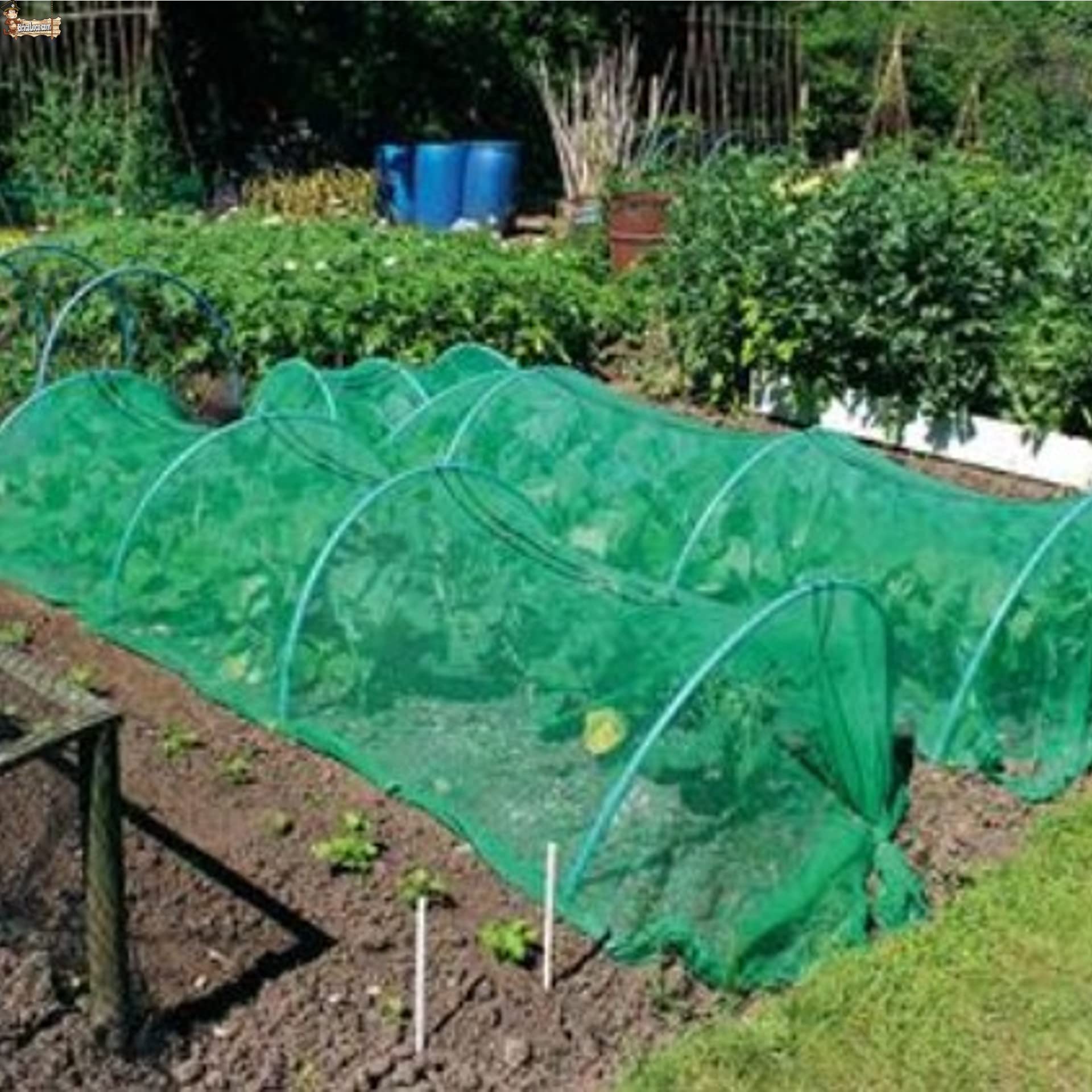 BricoLoco.com Malla Protectora Multiusos. Protección balcón, antipájaros, antipalomas, antinsectos, jardín, frutales, semilleros, Manto recogido, Malla Invernadero. (10x10 Metros)