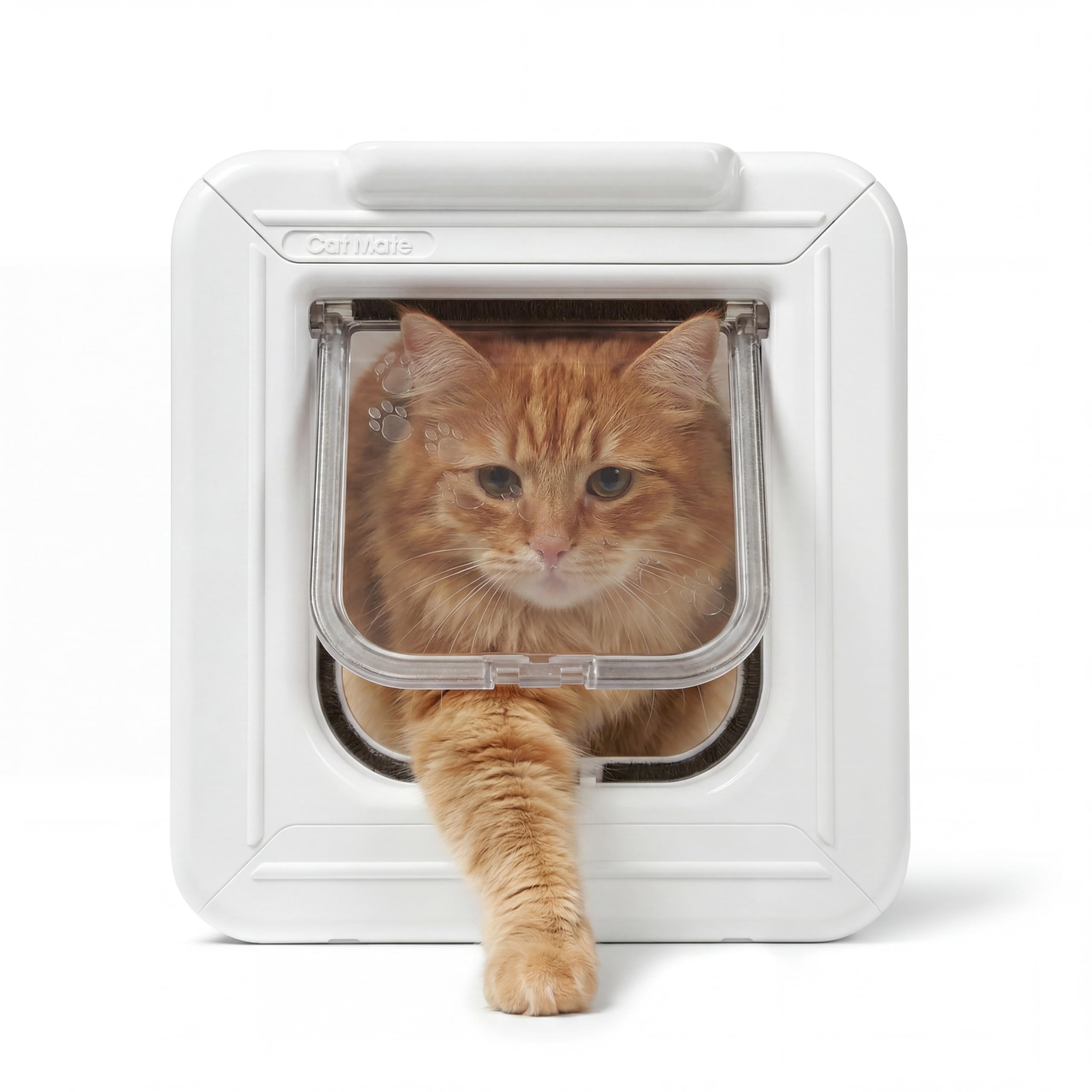 Amazon.com: Cat Mate Elite Microchip Cat Door with Timer Control