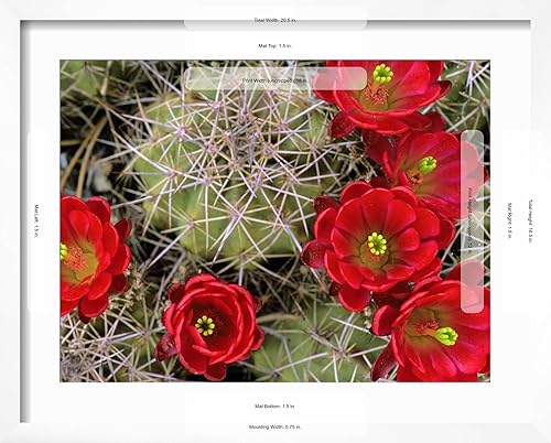 Miniatura 9 de ART.COM Chuck Haney - Lienzo decorativo para pared, diseño de cactus con flores en una mesa de grosella espinosa, Utah, EE. UU., decoración