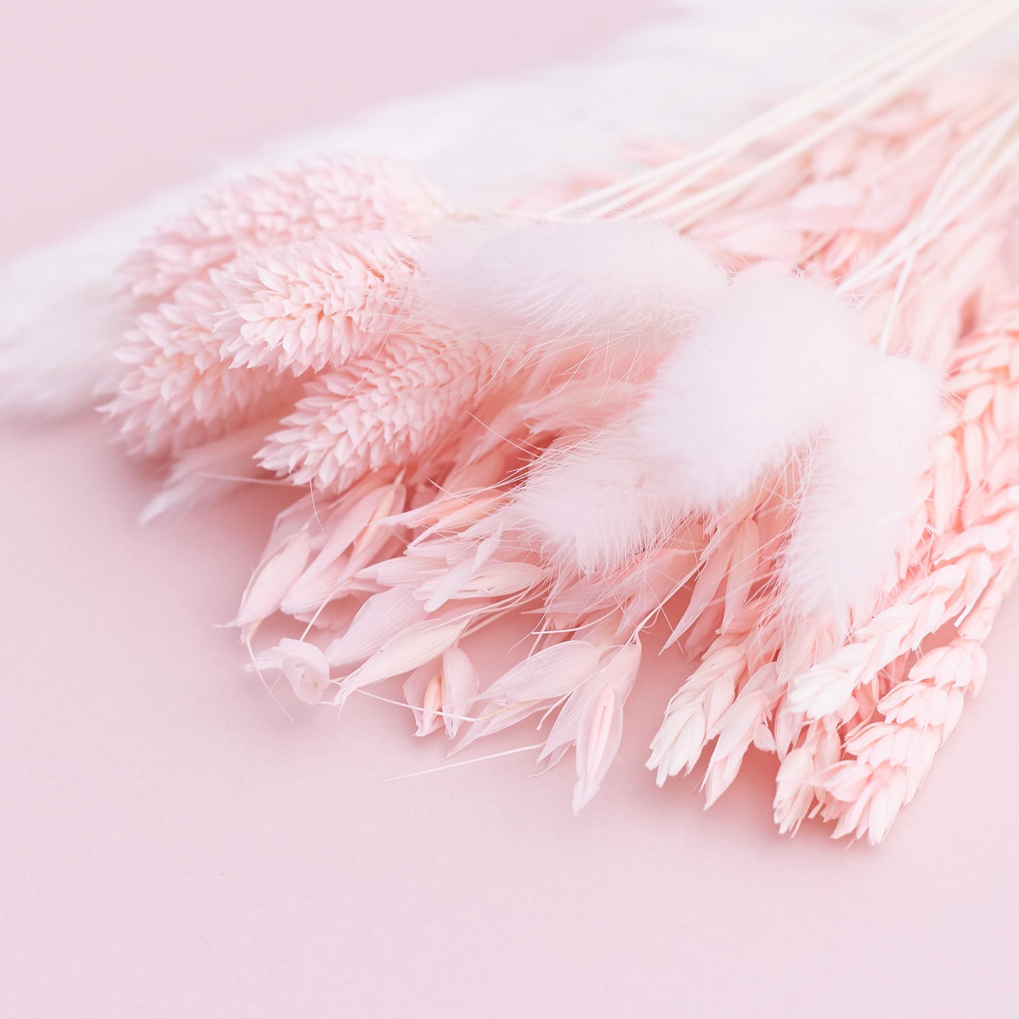 The Baked Studio - Original Dried Flower Set Containing Pampas, Oats, Wheat, Lagarus Bunny Tails & Phalaris For Cake & Cupcake Decorating & Others Crafts (Light Pink) - Image 2