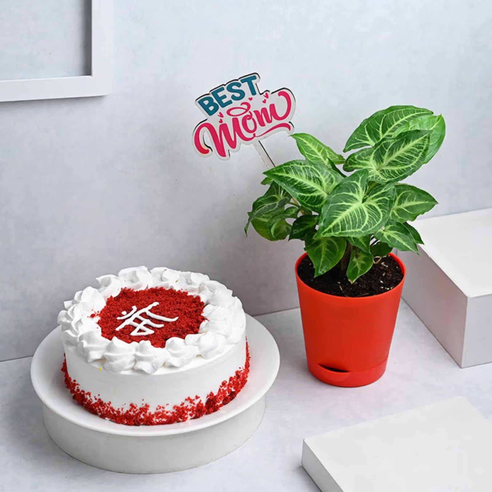 FlowerAura Mother's Day Surprise Delicious Fresh 500g Red Velvet Mother's Day Cake With Syngonium Plant | Gift For Mother | Gift For Mom | Gift For Maa | Gift For Mother-In-Law (Same Day Delivery)-image-49