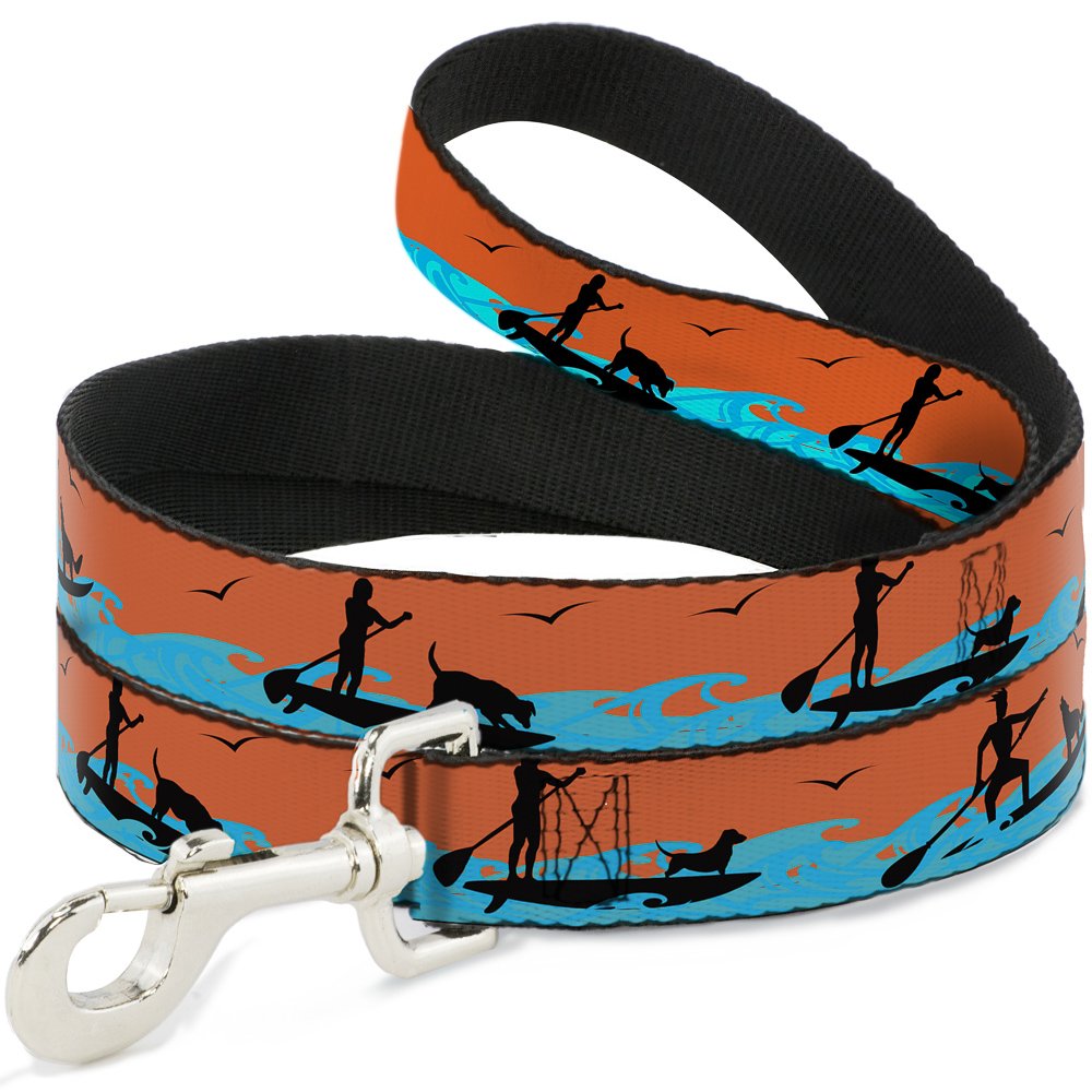 Laisse Buckle Down 2,5 cm de large en nylon haute densité