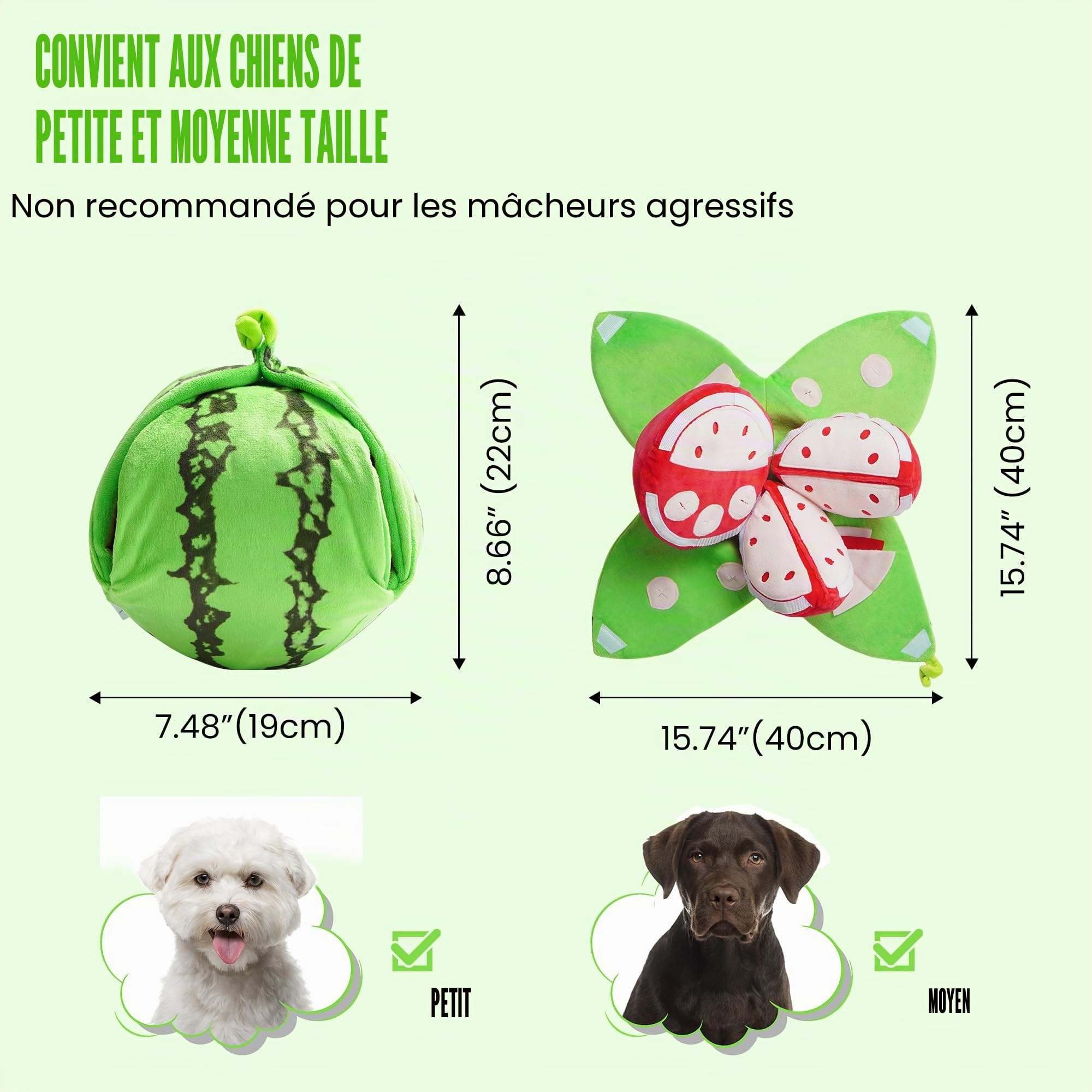 Nocciola 5 en 1 Jouet Intelligence Chien pour Jeu Chien Cache Croquettes | Jouet Chien Occupation Interactif avec Couineur et Papier Froissé, Jeu de Fouille pour Chien et Chiot
