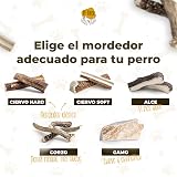 Ver la foto 6