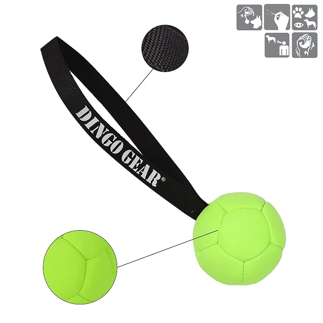 Foto 3 de 4 de Dingo Gear S02685 - Pelota llena de piel ecológica (8 cm de diámetro), color verde neón