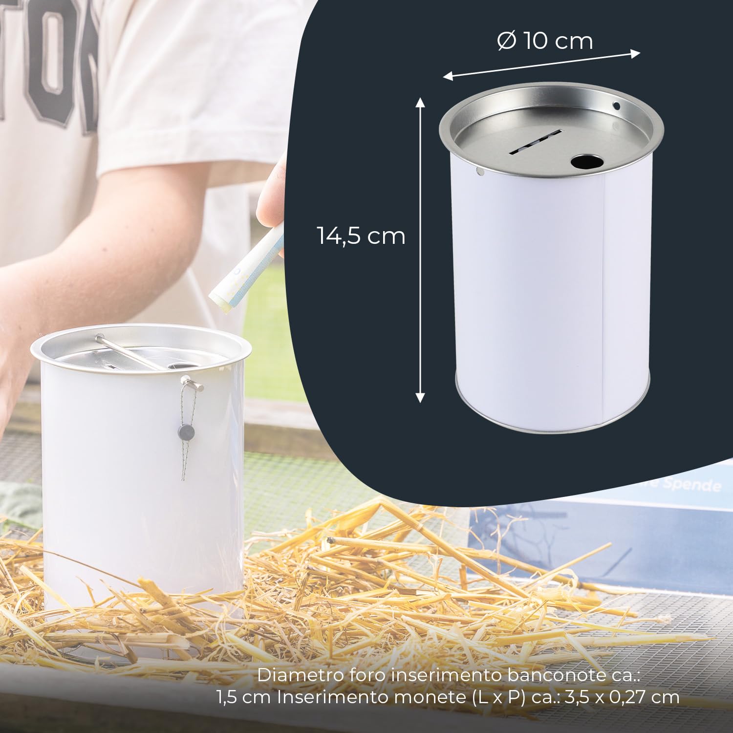 HMF 4600005-07 - 5 scatole per monete, 10 cm di diametro x 14,5 cm, con accessori