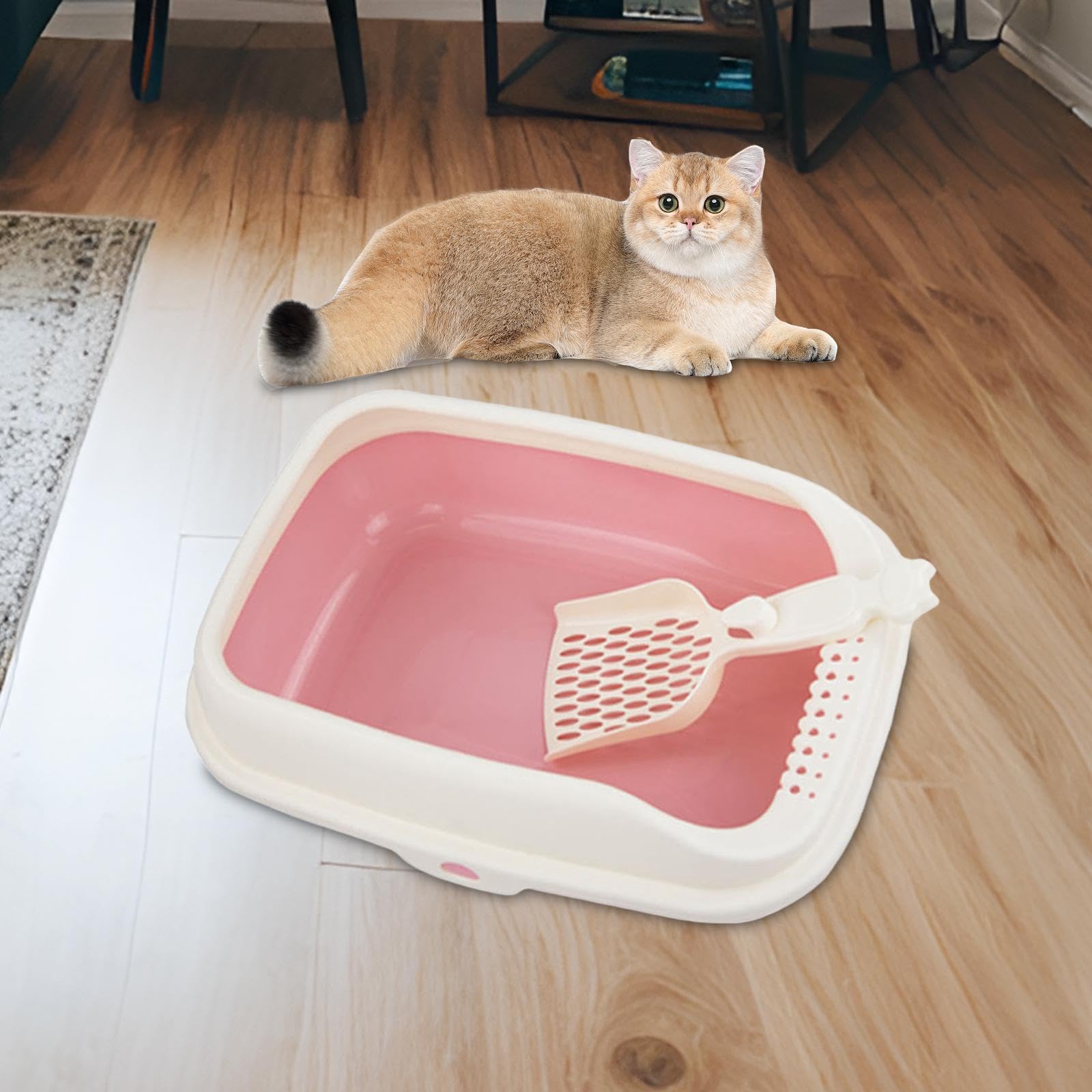 Bandeja de Arena Grande con Parte Superior Abierta for Gatos: arenero Profundo for Gatitos, hámsteres, Conejos y Animales pequeños.(51cmx38cmx23cm)