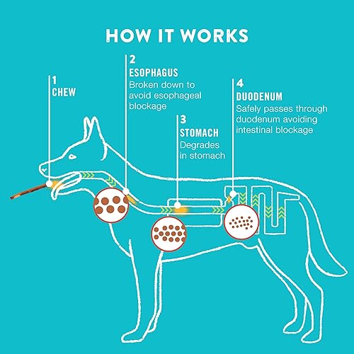 Miniatura 6 de TRURANCH Chips de colágeno Golosinas de colágeno para perros Apoyo saludable de larga duración Chips alternativos de cuero crudo Salud