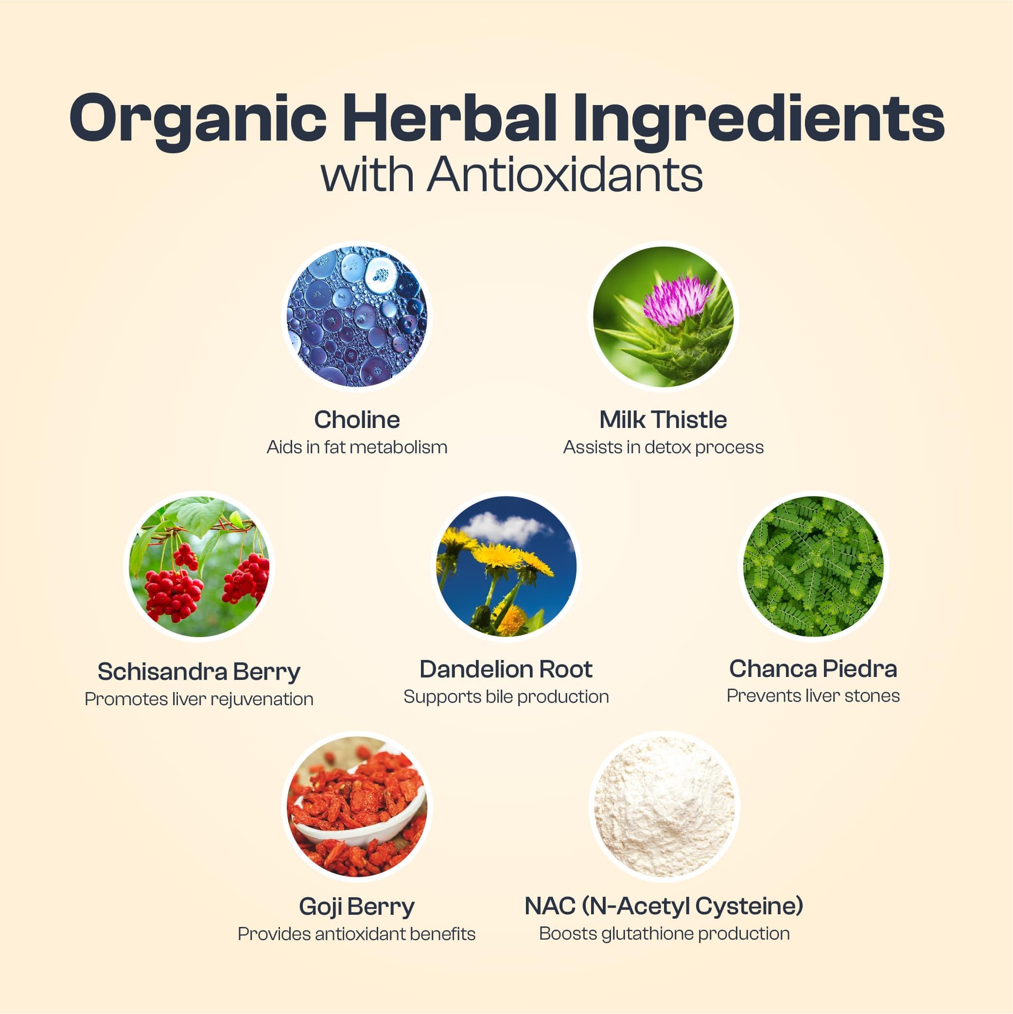 My Vida Origins Liver Detox with Organic Milk Thistle Organic Dandelion Extract and Choline with NAC – Liver Detox 120 Capsules