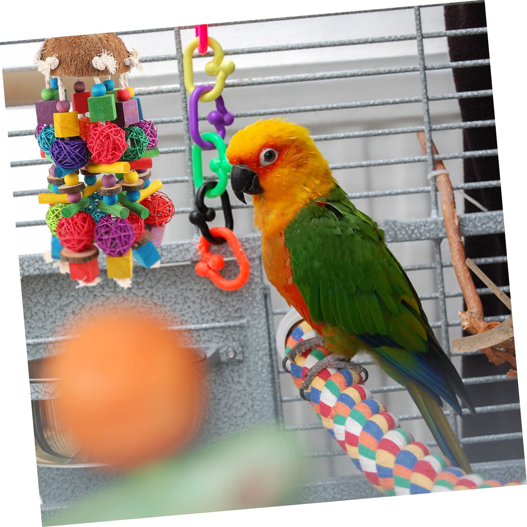 COLLBATH 1pièces Jouet Coquille De Suspendu pour Perroquet Accessoire De Mâchage pour Oiseaux