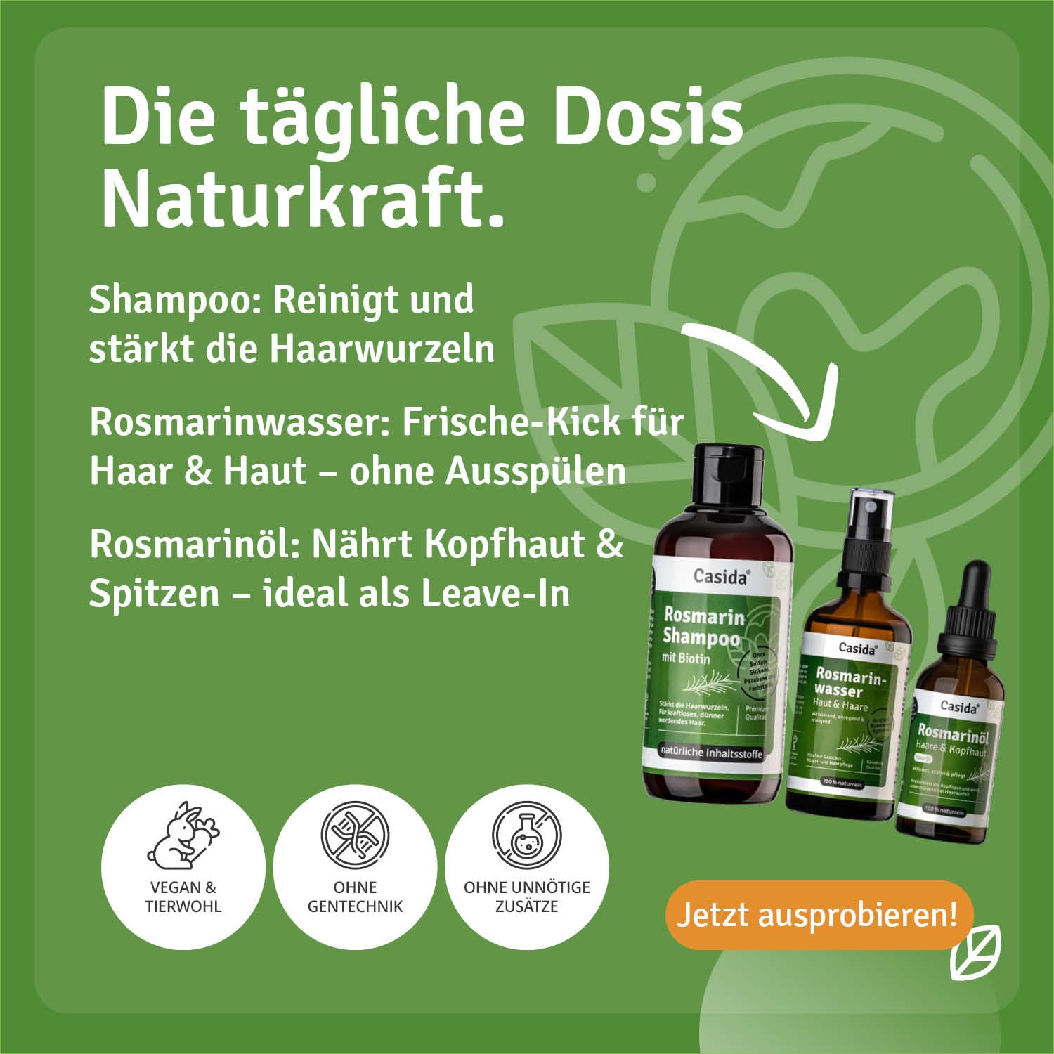 Casida Juego de tratamiento para el cabello de romero, champú de romero, agua de romero y aceite de romero para el cabello, cuidado óptimo con ingredientes naturales para el crecimiento del cabello