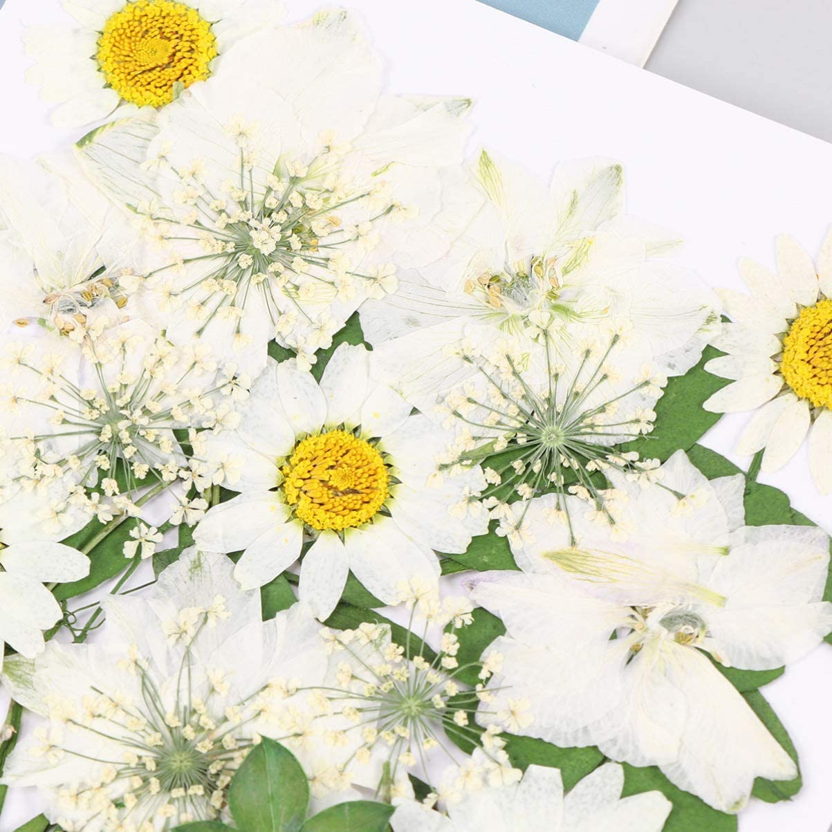 DIY: Gedroogde bloemen in een lijstje