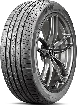 Delinte DST 1 Passenger Car All-Season Performance Radial Tire-195/65R15 195/65/15 195/65-15 95H Load Range SL 4-Ply BSW Black Side Wall UTQG 560AA