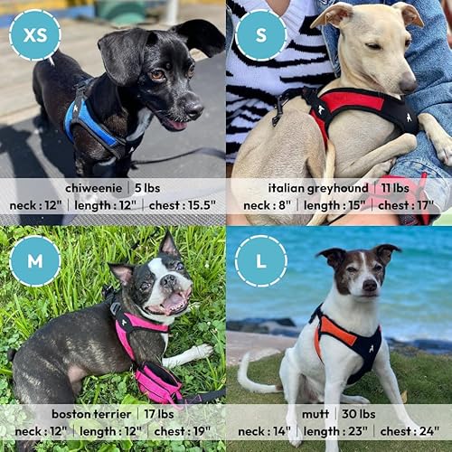 Gooby 04602-TQS-S Escape Free Easy Fit Harness, Small Dog Step-In Harness thumb #6