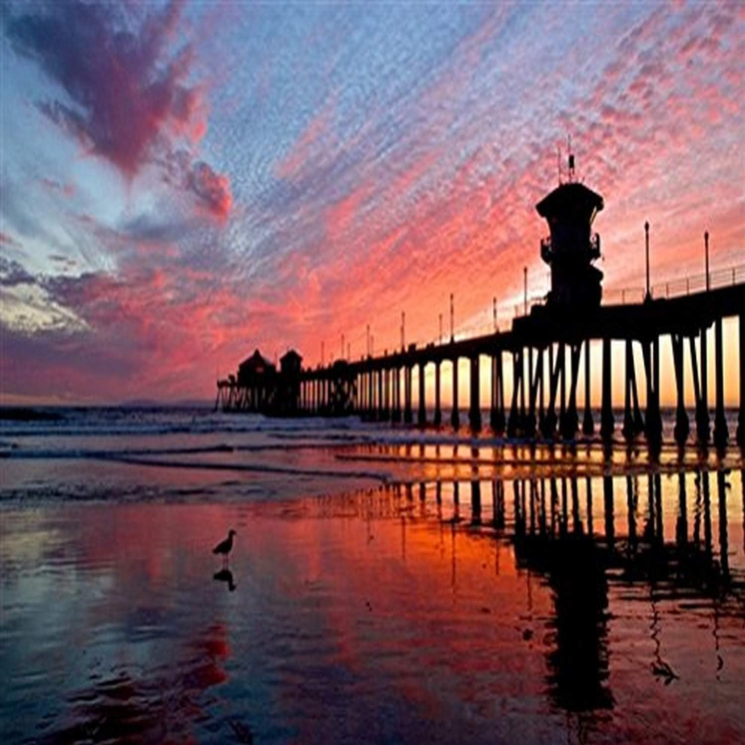 HADLEY HOUSE "Pink Sky at Night Huntington Beach Delight by Sean Mcgrath Print
