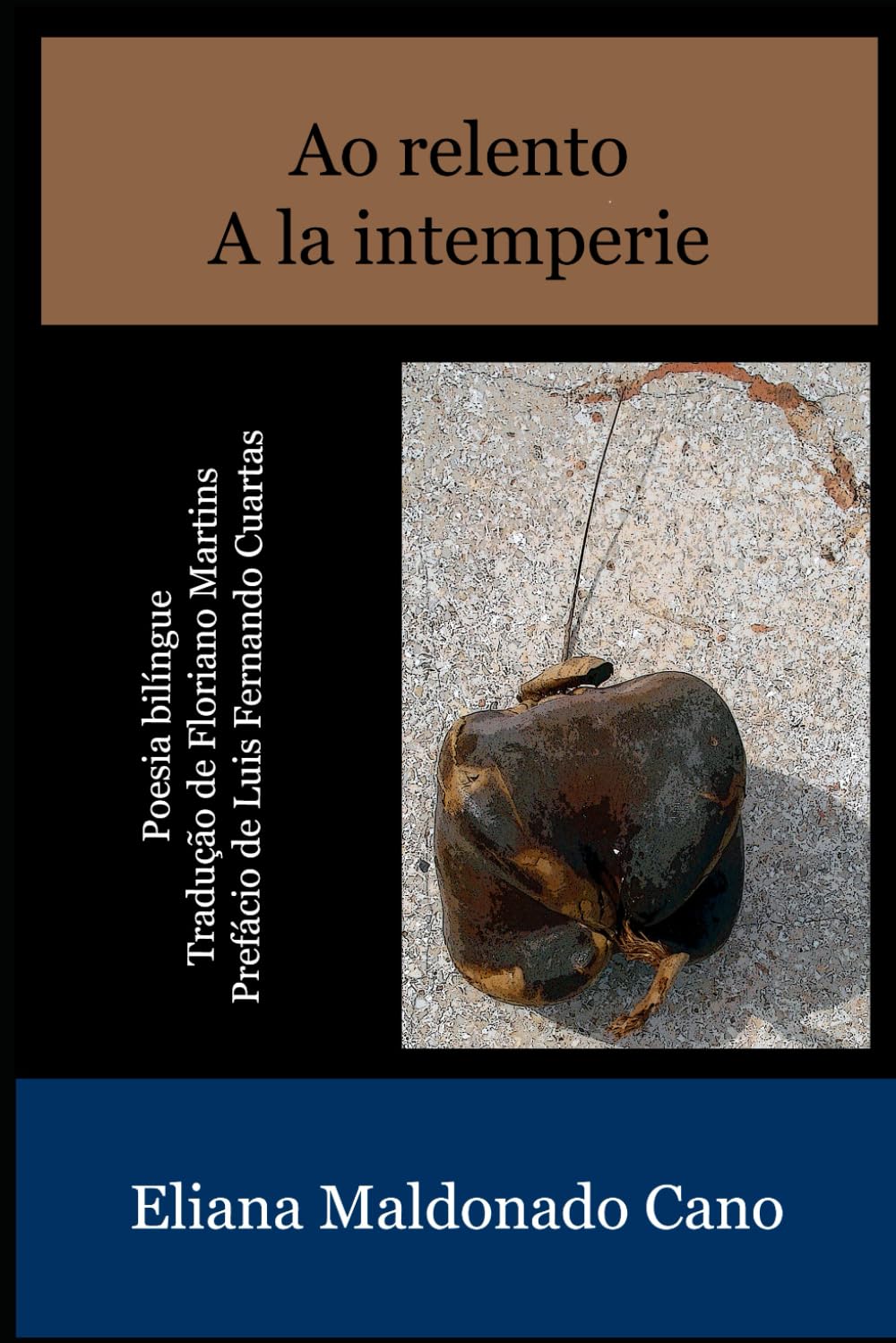 AO RELENTO - A LA INTEMPERIE: Edición bilingüe Español-Portugués