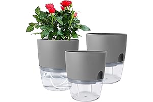 6 Inch Acrylic Plant Pots for Indoor Plants