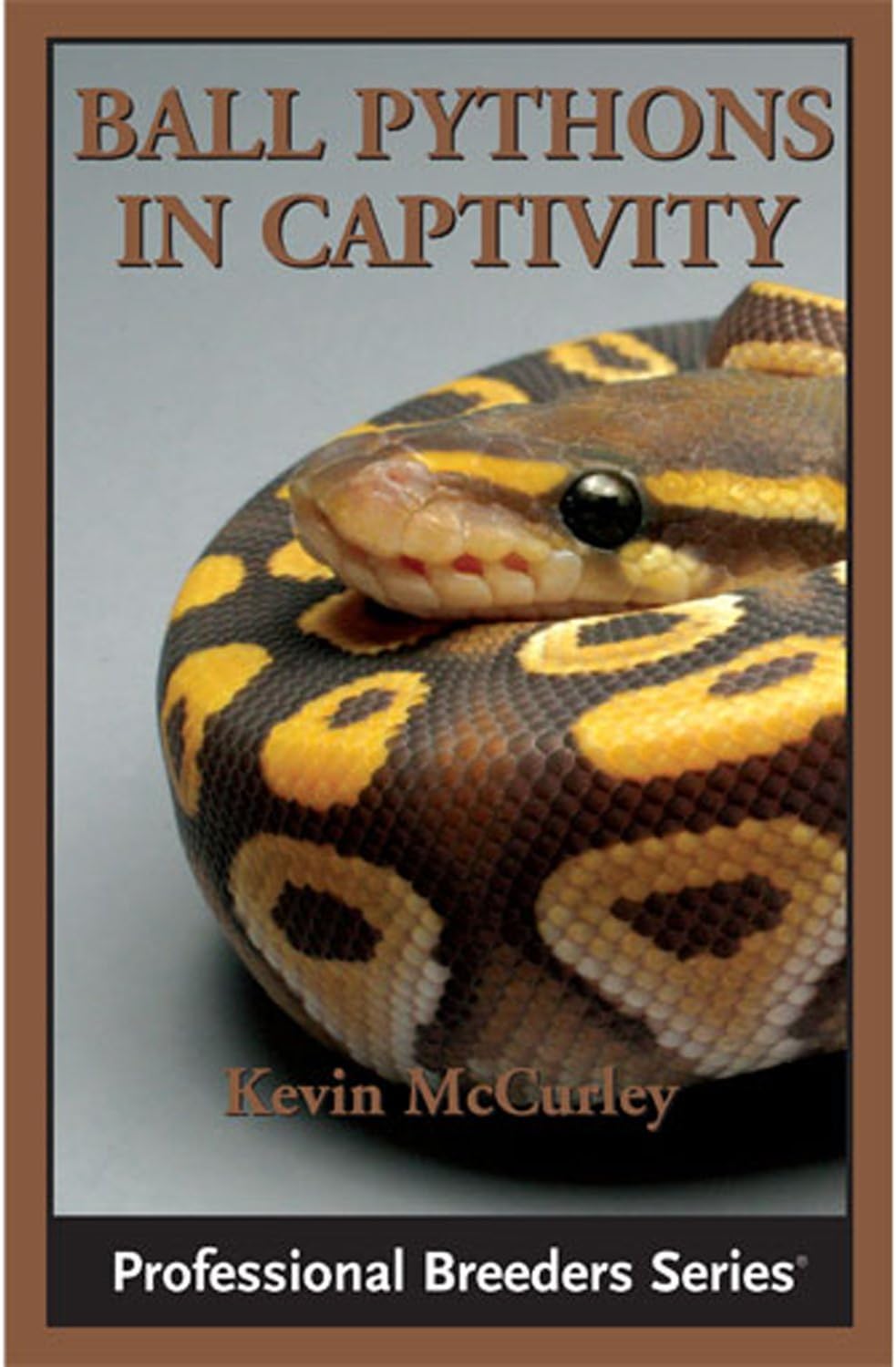 Ball Pythons in Captivity