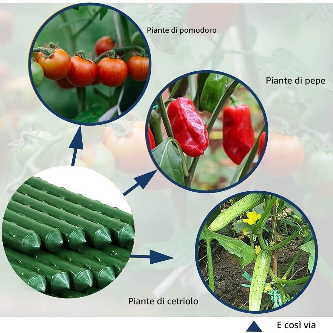 Pali per piante da giardino Bastoncini di supporto per piante verdi 20PZ Bastoncini per la coltivazione di piante con connettore Canne da giardino Pali di supporto per viti per fiori, verdure e