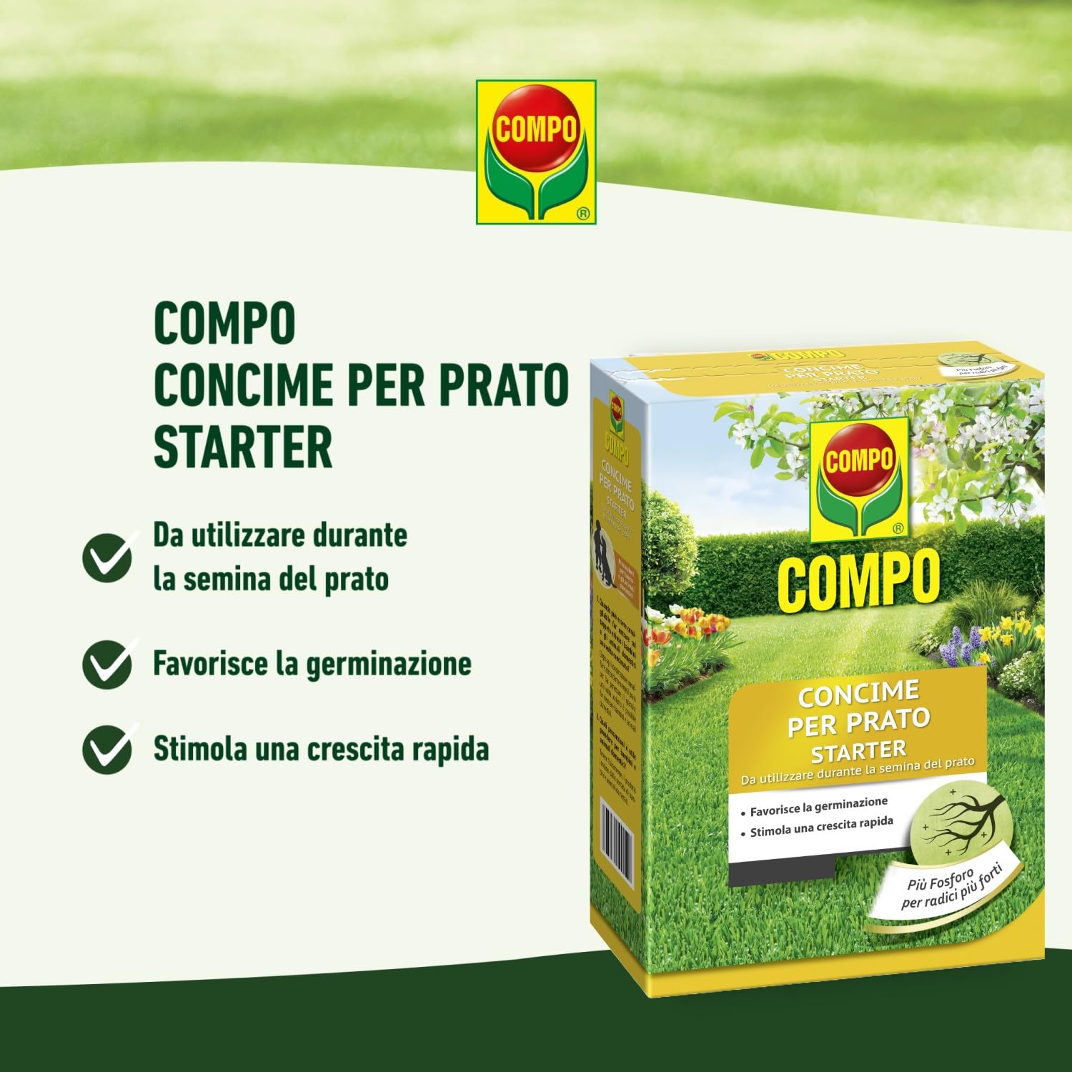 COMPO Concime per Prato Starter, Per la Semina e la Rigenerazione di Tappeti Erbosi, Per Radici Più Forti, 2,5 kg