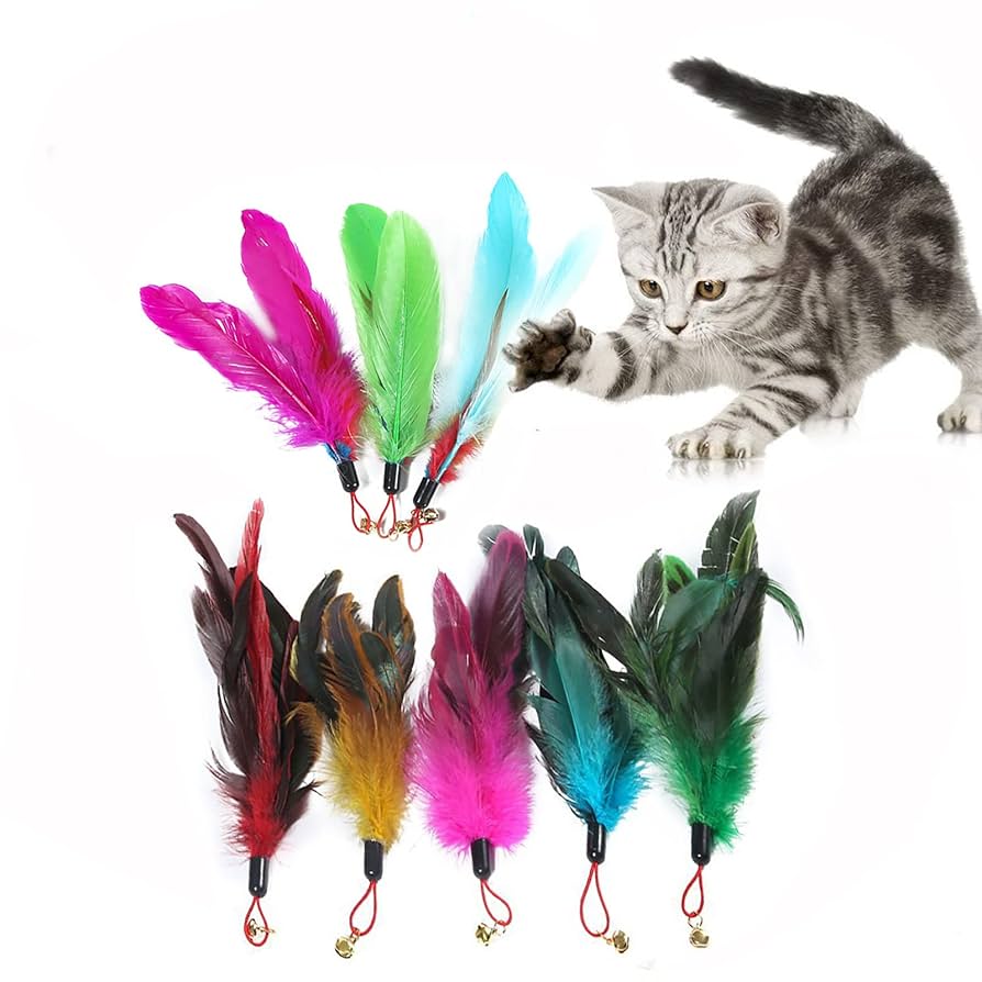 Amazon | SHULLIN 8個セット 猫の羽のおもちゃ 猫じゃらし 羽の