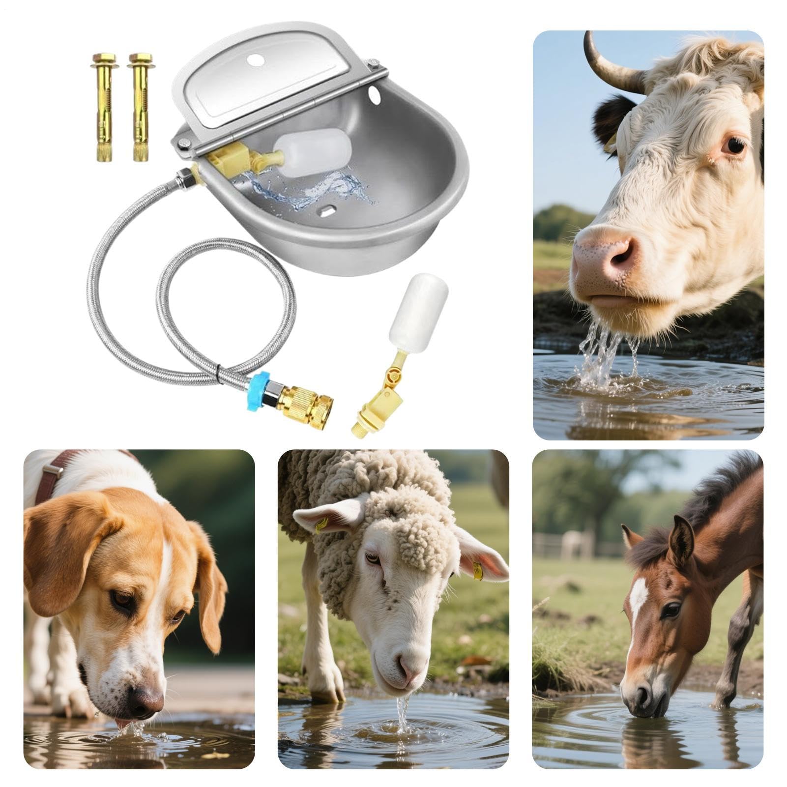 Abbeveratoi Automatici Per Bovini Ciotole Per Alimentazione In Acciaio | Design Con Valvola a Galleggiante Preciso Per Animali Da Cortile E Allevamenti