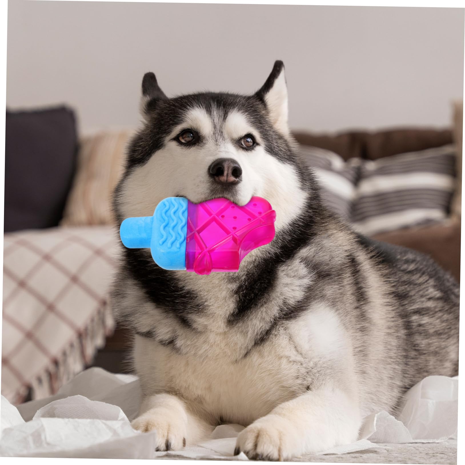 Toddmomy 5pièces Jouet à Mâcher pour Chiots Réfrigérable Accessoire De Détente Rafraîchissement pour Chiens Parfait pour Gencives Et