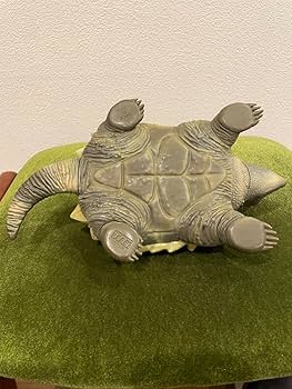 ワニガメ フィギュア Amazon.co.jp: BACALYSO | the soul of sculptor ワニガメ カメ