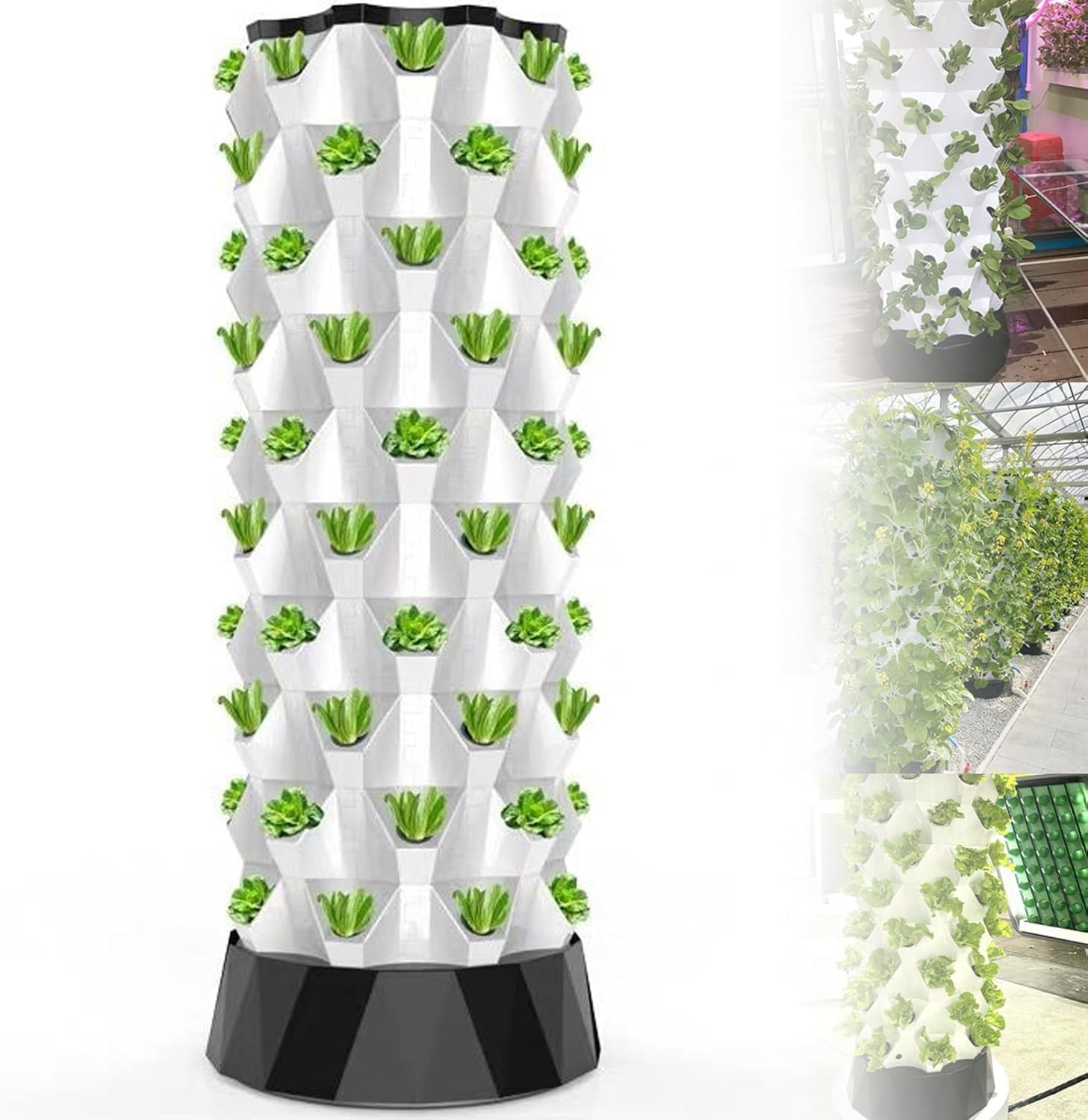 Tour hydroponique verticale : la solution pour des herbes fraîches toute l'année