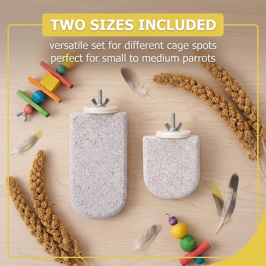 Lot de 2 Supports pour Os de Seiche Oiseaux, Pince Porte-Nourriture pour Cage, Clip de Fixation Fruits et Légumes, Accessoires pour Perruches, Canaris et Perroquets