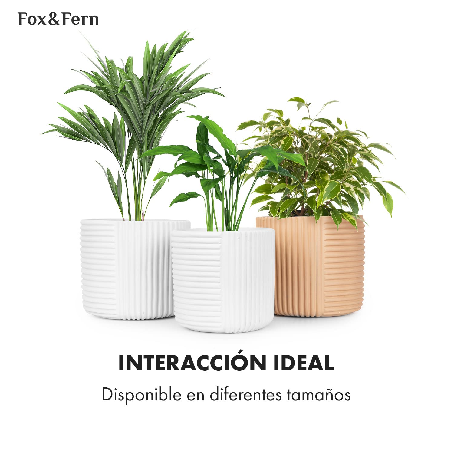 Fox & Fern Fox&Fern Maceta L con Estructura de líneas, Maceta Grande de 27 cm, Incluye Drenaje de Agua para Plantas en Exteriores e Interiores, Apta para Soporte de Flores L (30 cm de diámetro),