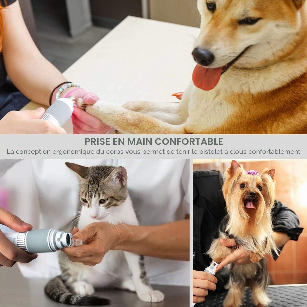 Ponceuse à griffes, et port USB, 40 décibels, super silencieux, pour chiens et chats de petite, moyenne et grande taille, 2000 mA, blanche, sans lumière LED