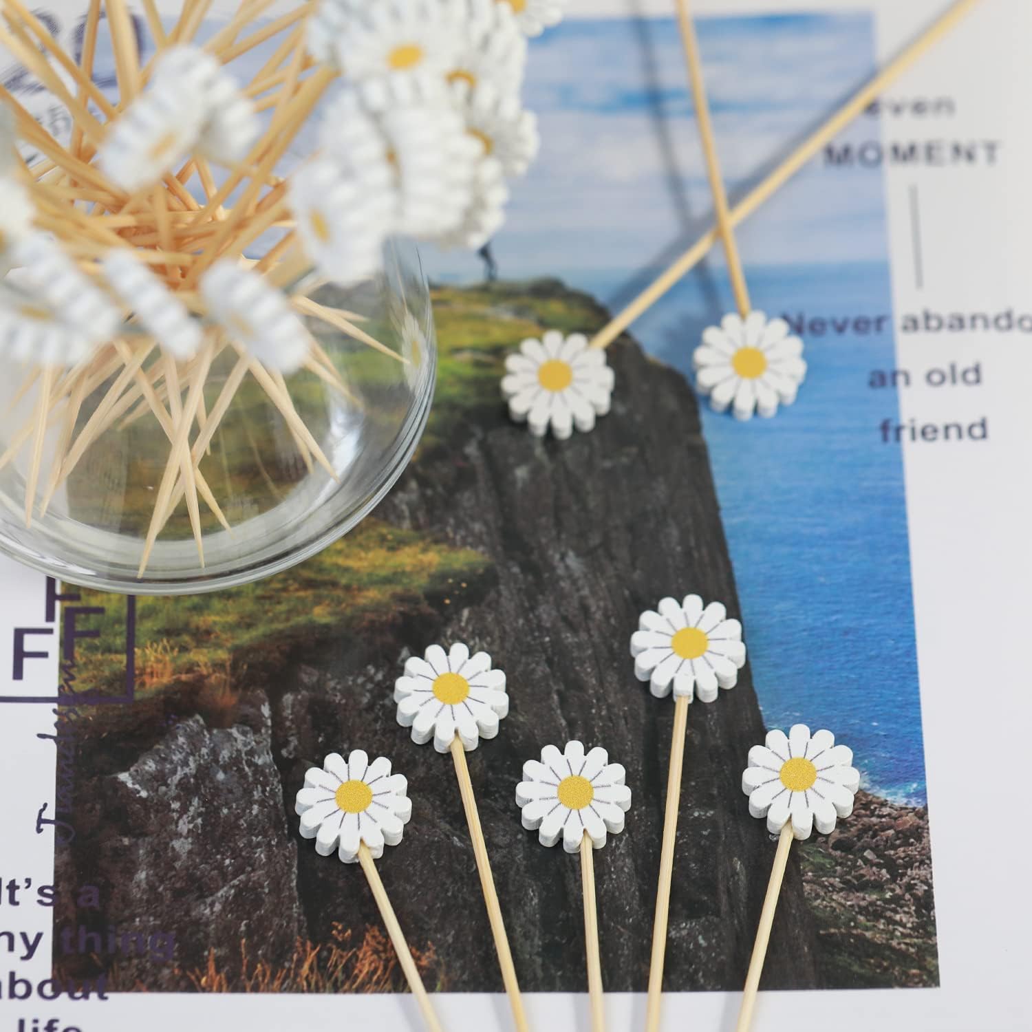 Daisy Cocktail Picks Springtime Floral Decorative Toothpicks Fruit Sticks Food Sandwich Appetizer Charcuterie Skewers, for Spring Flower Sunflower Daisy Decorations Boho Groovy Party Supplies
