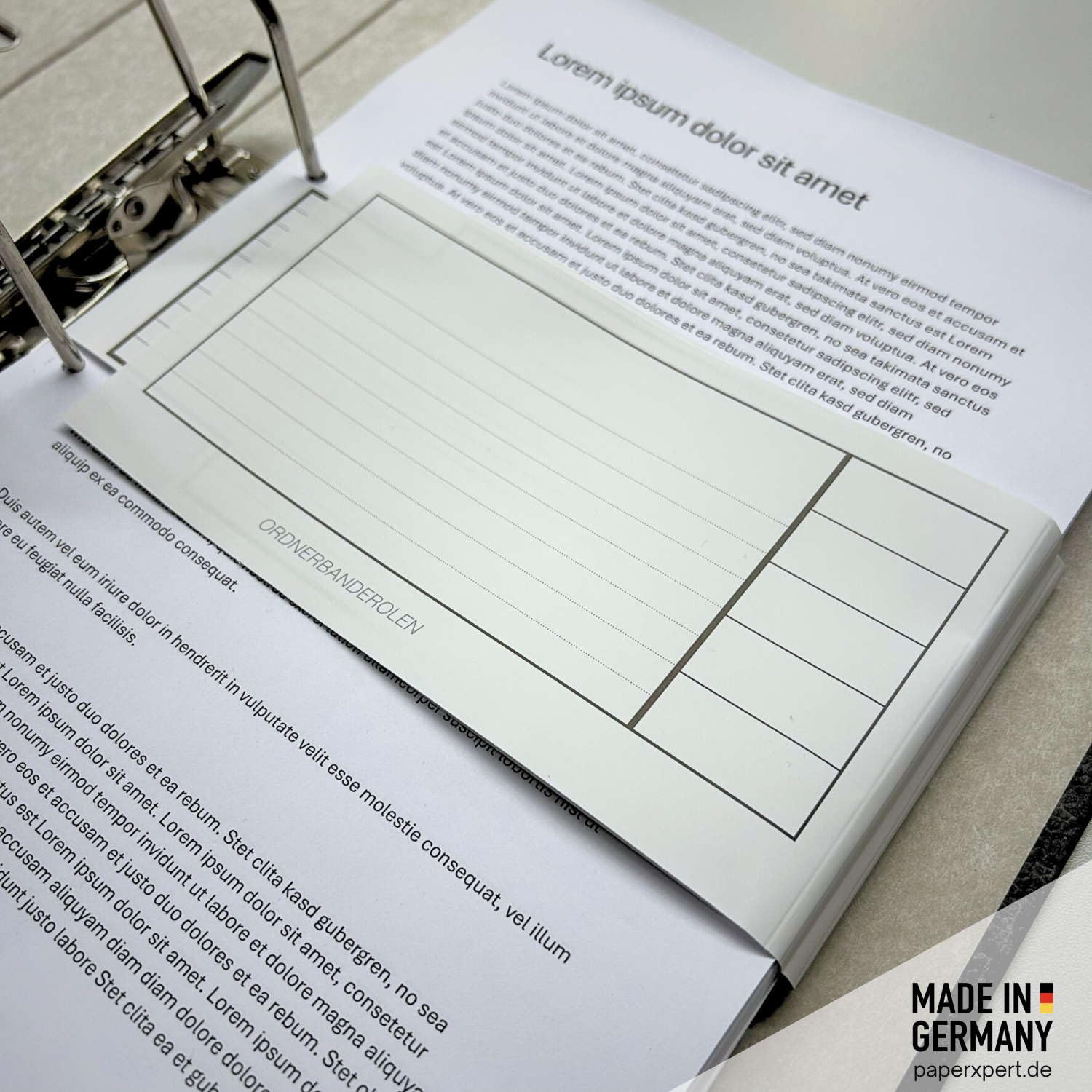 Ordnerbanderolen in Grün | Vorgangs- & Dokumentenablage für Ordner | Papier 90 g/qm | 250 Stück | Premium Markenqualität – Made in Germany (Grün)