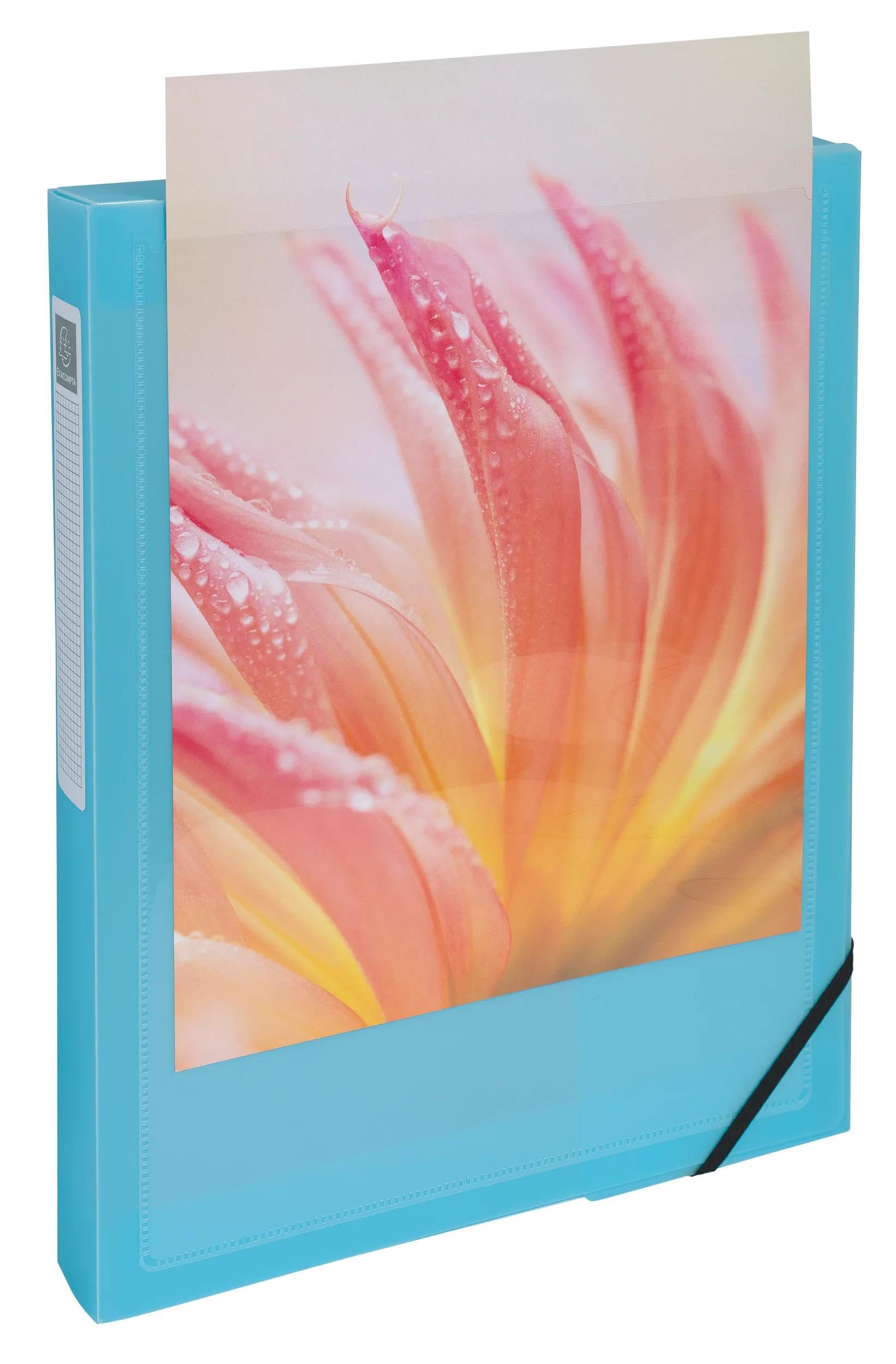 Exacompta - Réf. 59279E - 5 boites de classement avec élastiques Kreacover Pastel - en polypropylène - dos 4 cm - dimensions 25 x 33 cm - pour format A4 - livrées montées