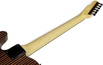 Amazon.co.jp: 【Sylpheed】 テレキャスタータイプ エレキギター